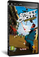 Street+Cricket+champions.png