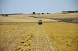 Pulse vegetables harvester. Old Lenz mower