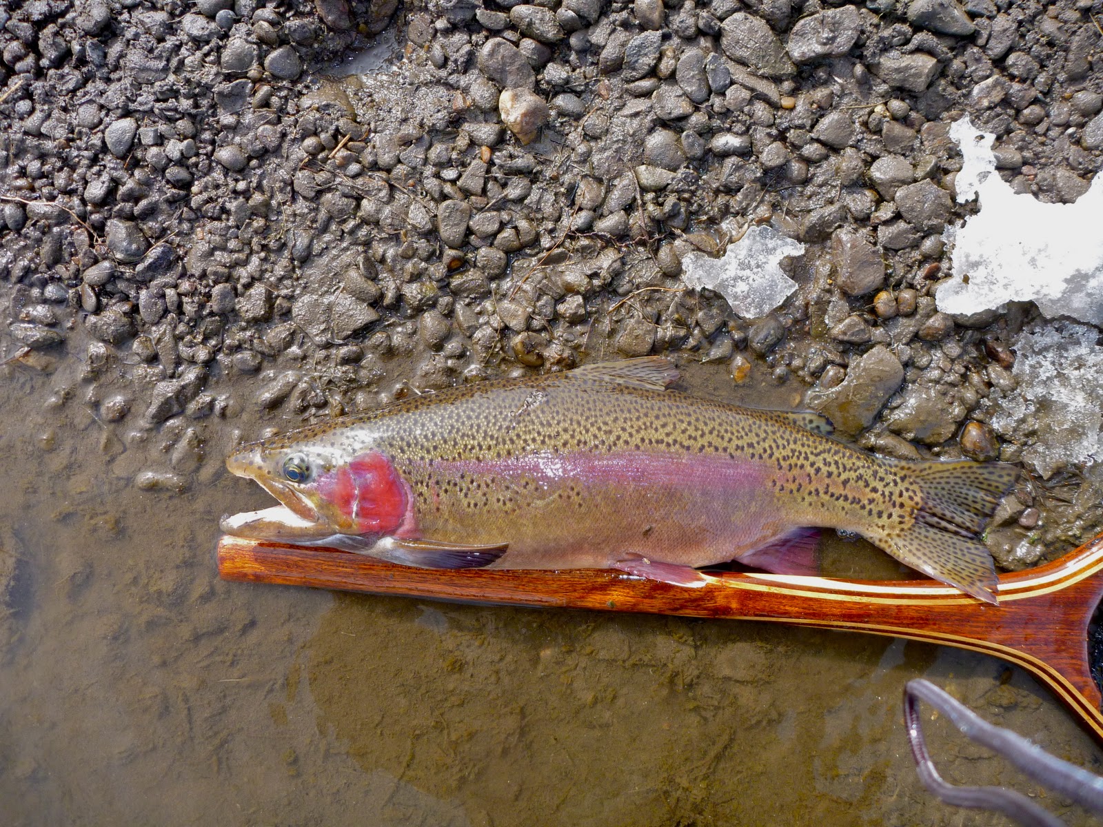 Circulon infinite cookware uk prices, frying pan stream valley park