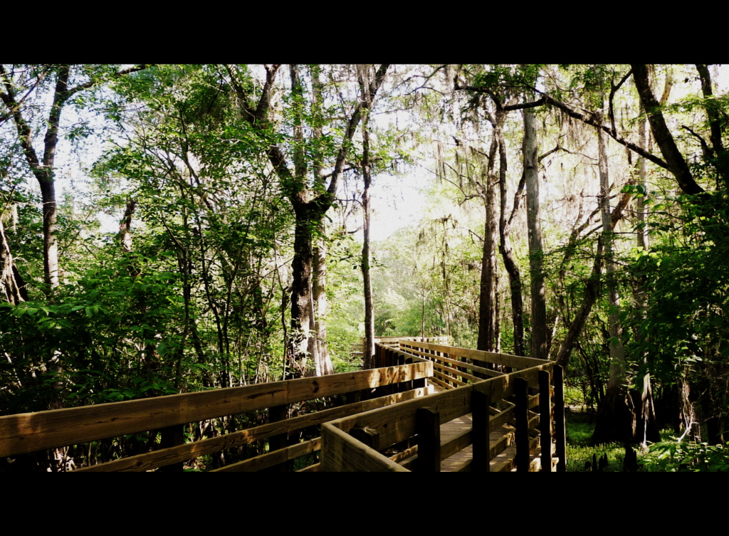 photography by jules Lettuce Lake Park V
