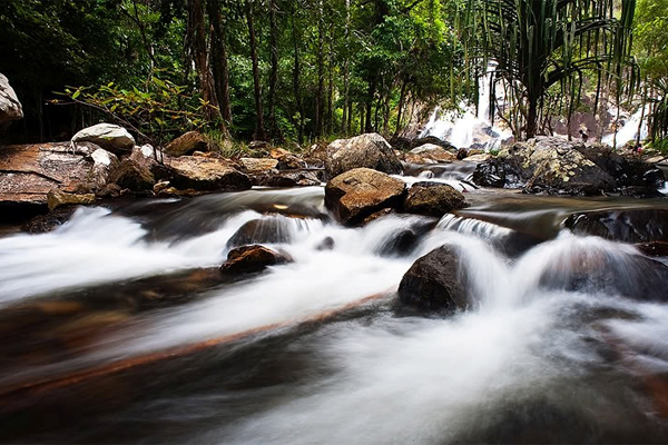 Vé máy bay từ Hồ Chí Minh đến Thành phố  Hat Yai