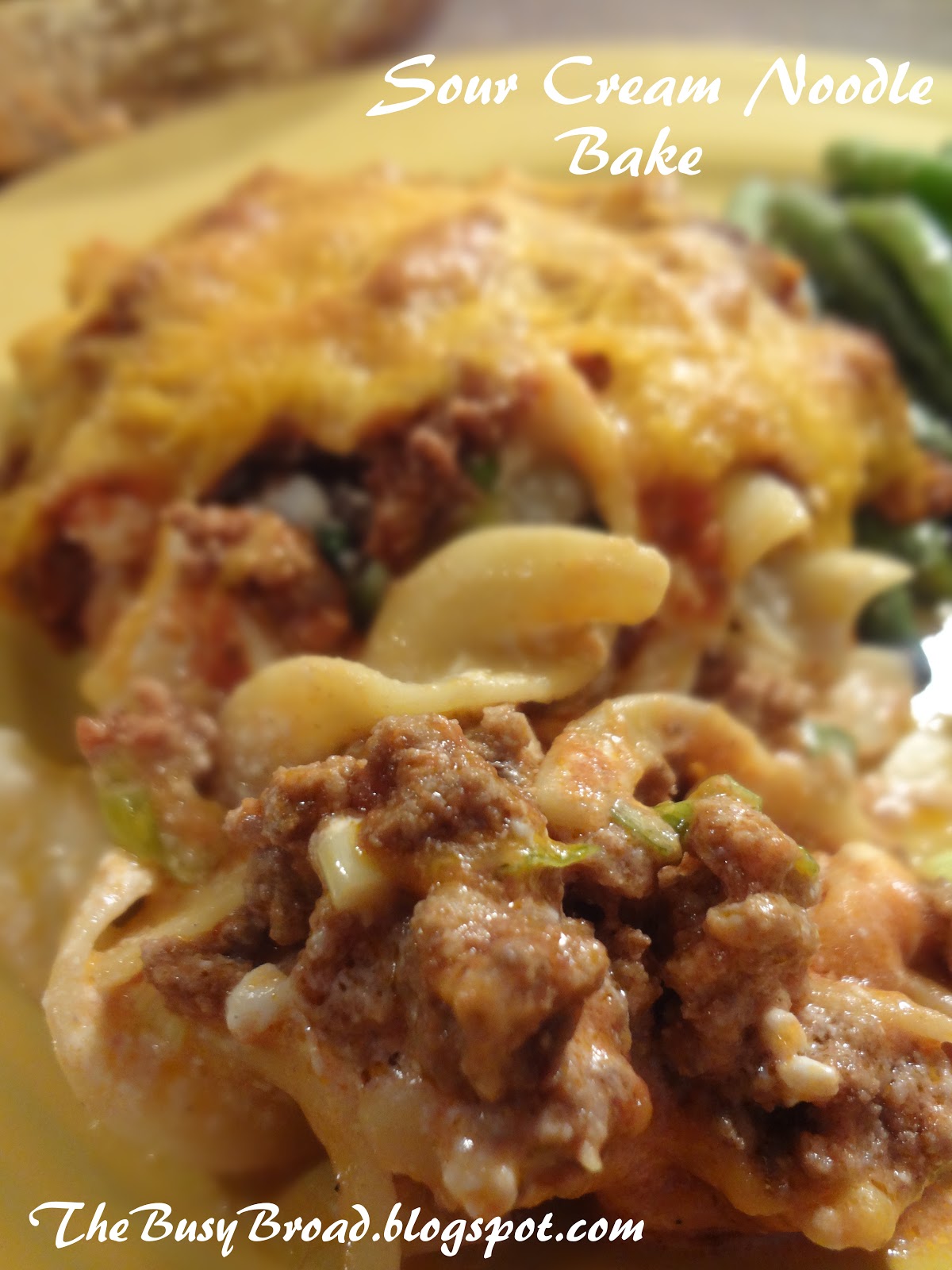 The Busy Broad Sour Cream Noodle Bake