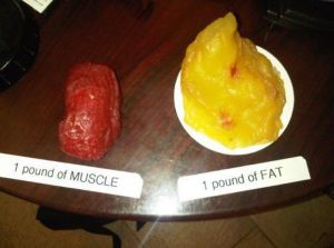 Waga tłuszczu i mięśni - dlaczego ważymy tak dużo?