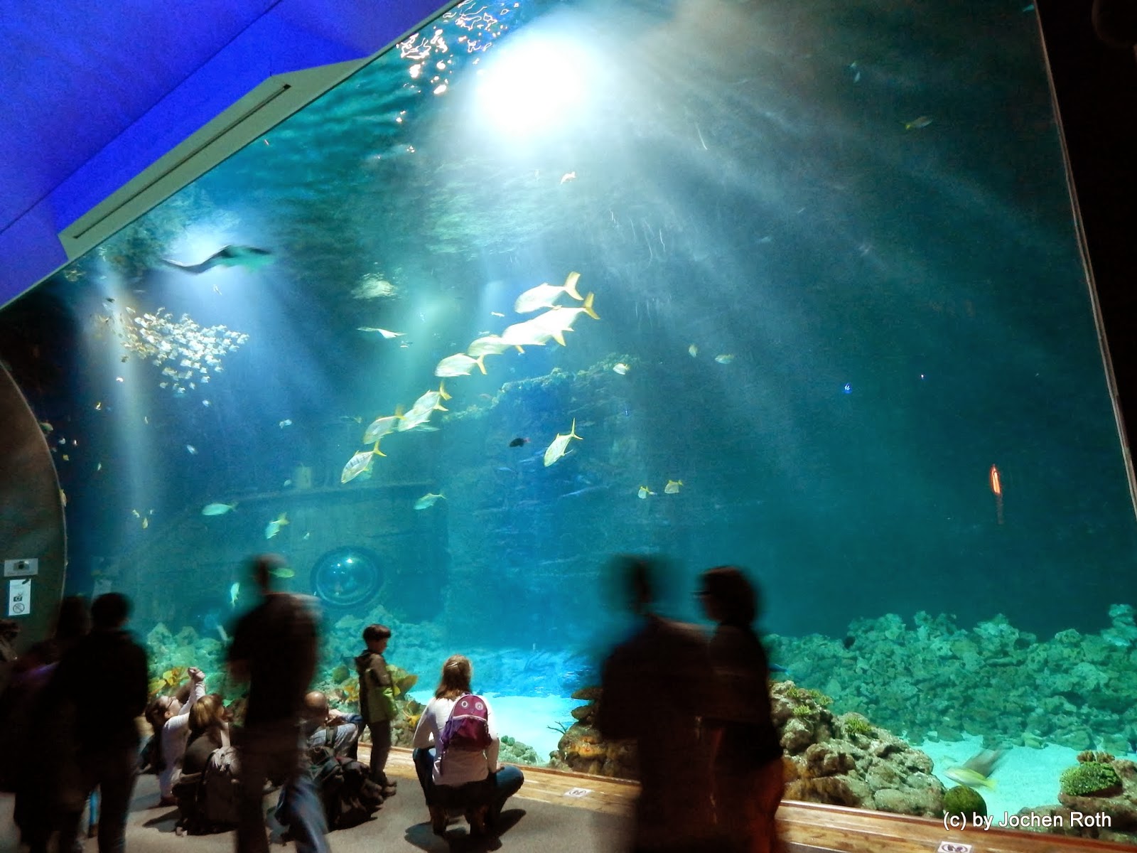 Die Drei Roth Besuch des TropenAquarium Hagenbeck im Tierpark