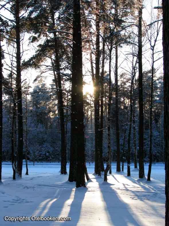 Winter_in_Belarus