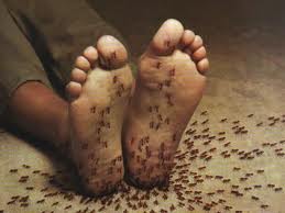 Vamos ficar atentos com os formigamentos no nosso corpo