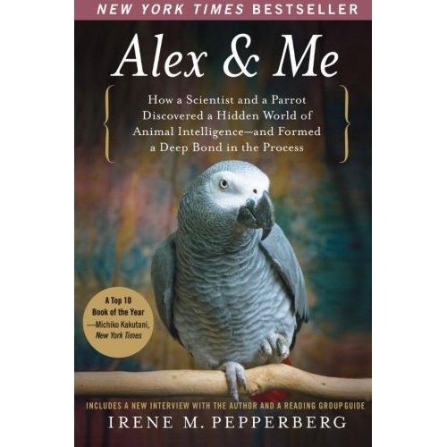 Birding Is Fun! Birds up close and personal, and European Magpie