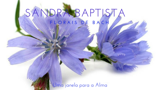 Florais de Bach