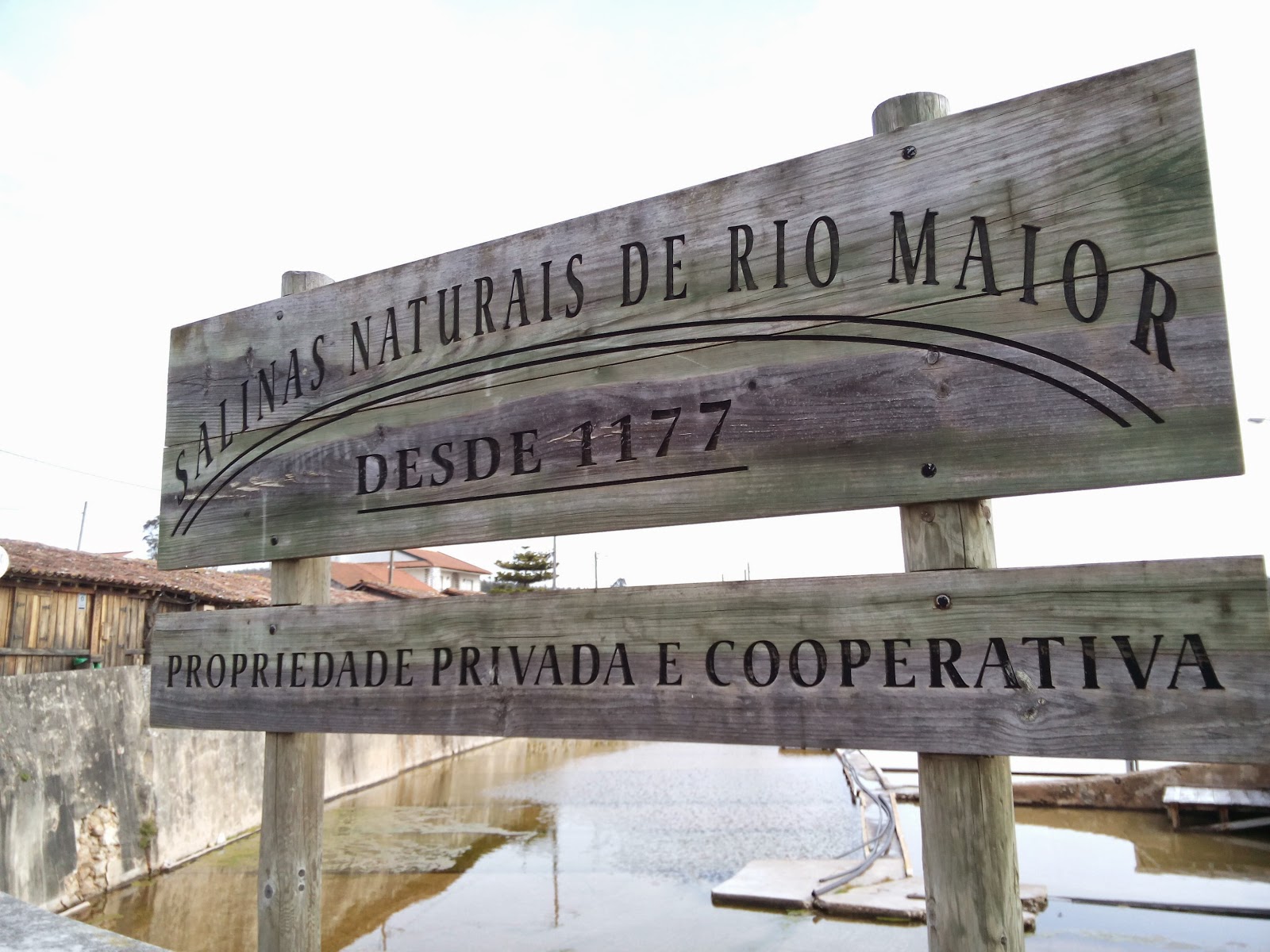 Day Off - Bucelas / Rio Maior / Bucelas IMG_20150211_112816