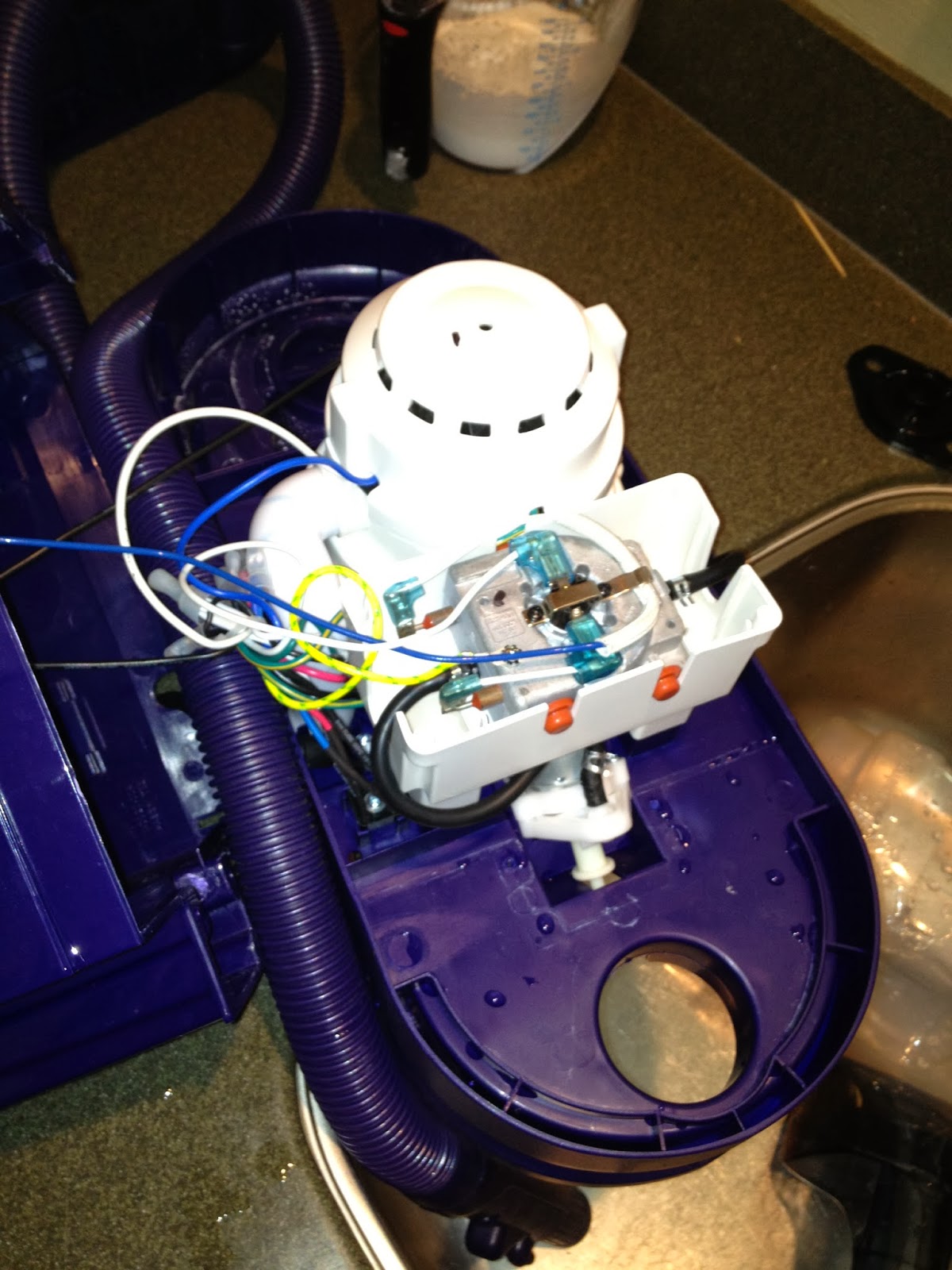 The DIY Guinea Pig Carpet Cleaner with Oxiclean