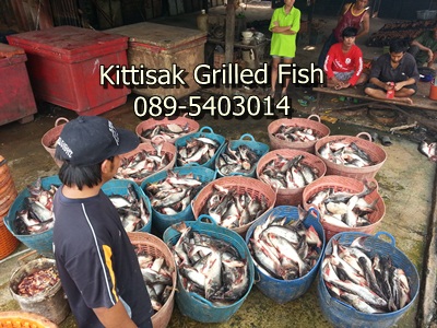 grilled fish, Grilled Pangasius, Pangasius, Smoked, ปลาย่าง, ปลาสวายย่าง, ปลาสวายรมควัน,Dried Fish,Catfish