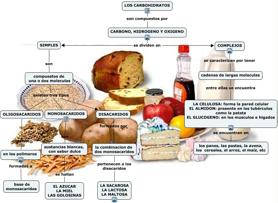 IMPORTANCIA Y FUNCION DE LA VITAMINA A importancia y funcion de la vitamina a: