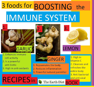 Permanent Link to  Food for Healthy Immune System