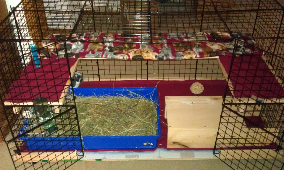 So it goes....... April 2013