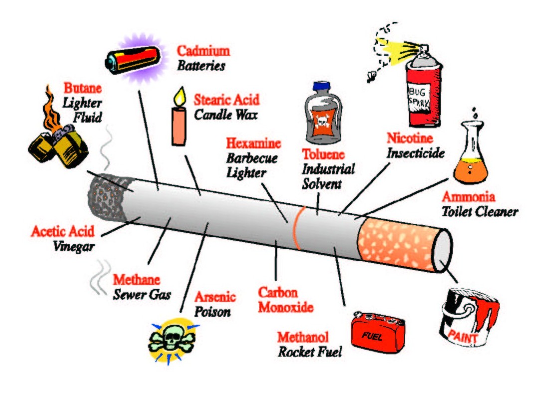 Want to Know How Smoking Can Kill You? Health From Inside