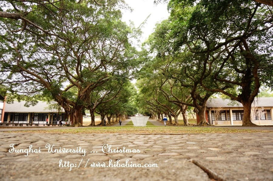 ::聖誕系列:: 台中遊記 漫步濃濃耶誕味的全台第一美校園。東海大學