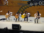 Pico Truncado 2009