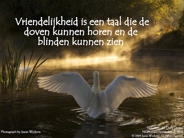 Citaten en Wijze Woorden uit de Islam Vriendelijkheid is