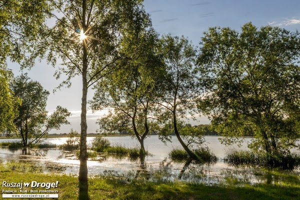 Pińczów nad Nidą