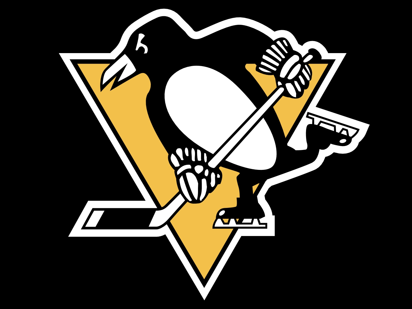 pittsburgh penguins pictures