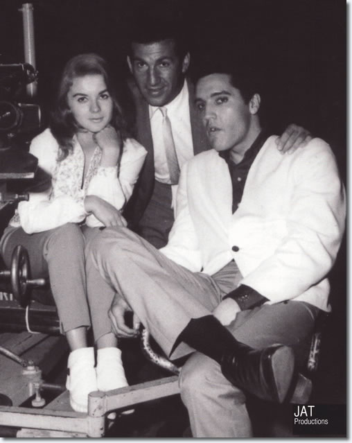 presley smith behind the scenes sala de exibi 231 227 o elvis presley presley smith behind the scenes sala de exibi 231 227 o elvis presley