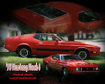 1973 Mustang Mach I - PROLOOK STUDIO - 8x10 framed photographic art