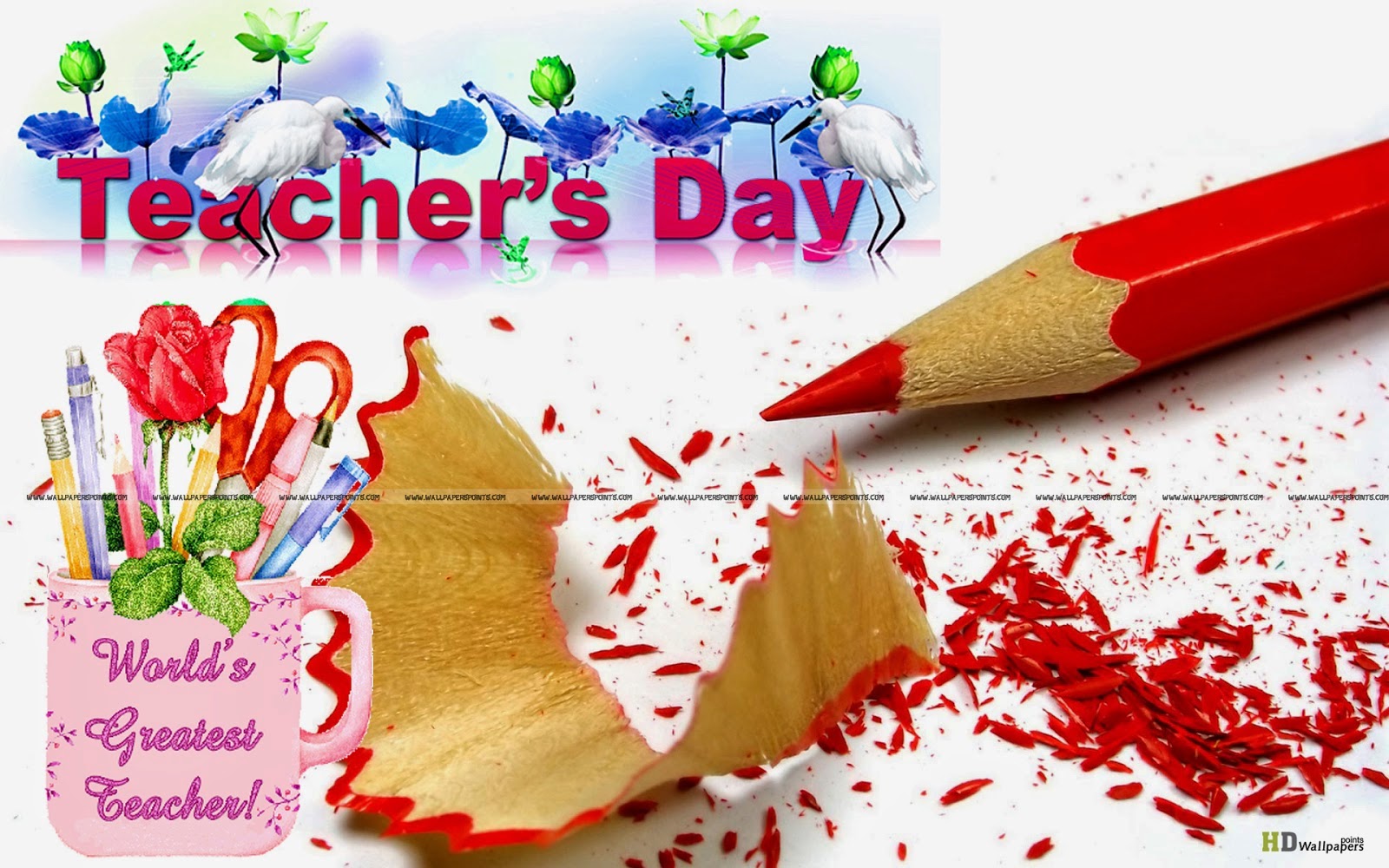 Teachers Day Essay in English