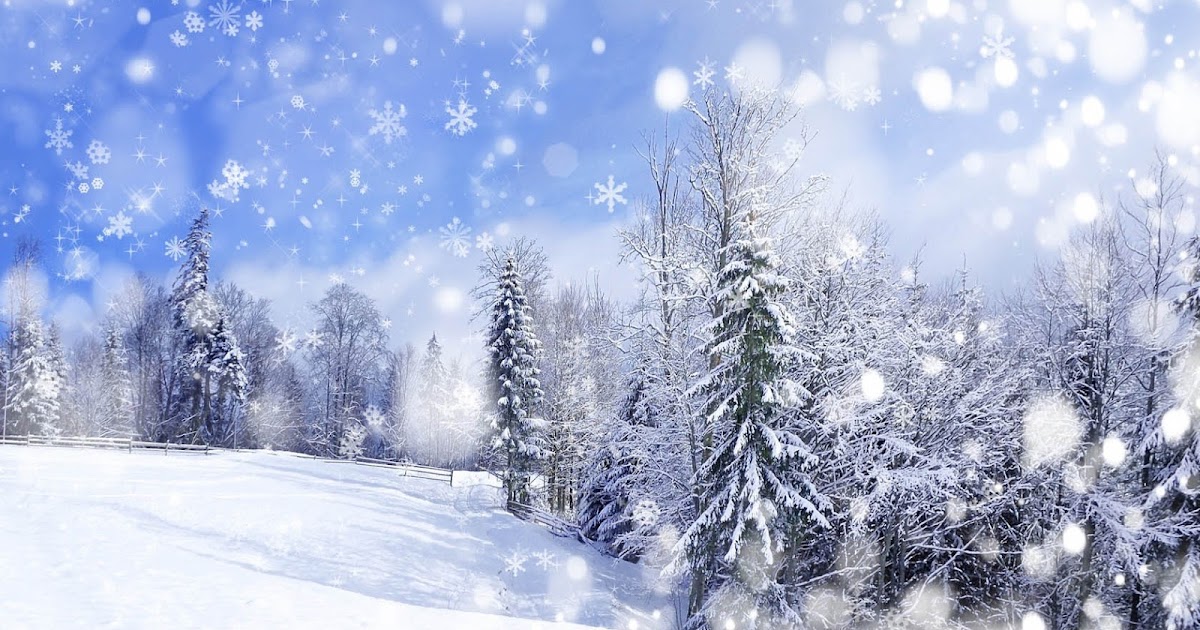 Foto van een witte kerst met sneeuw Mooie Leuke Achtergronden Voor Je
