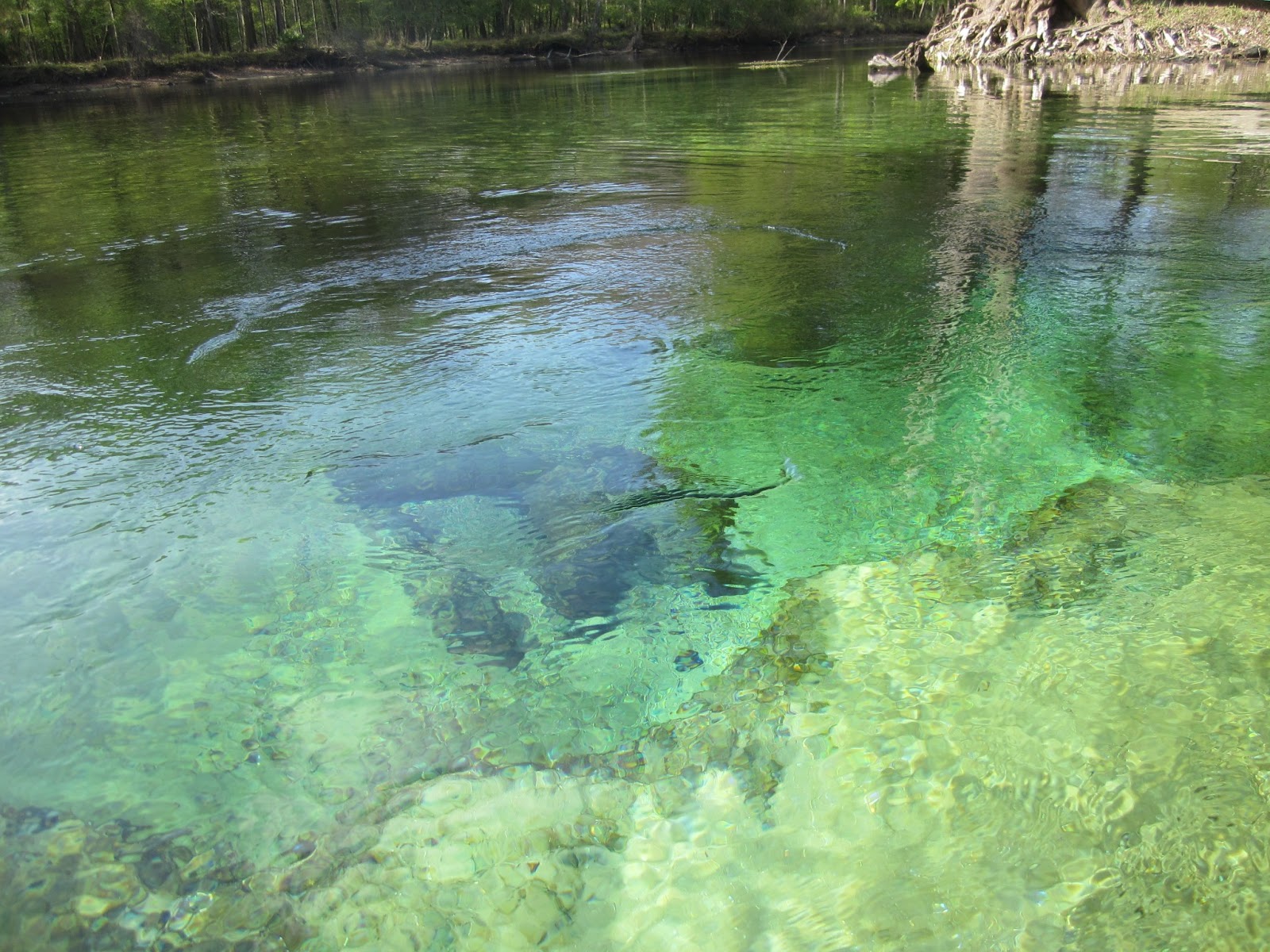 Dave's Yak Tales Santa Fe River
