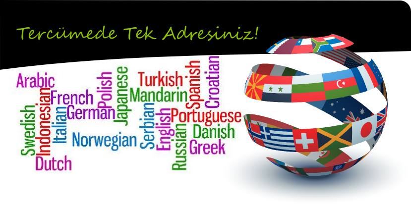 Turkce Lehce Polonya Ceviri Tercume Lehce Tercume Polonyaca Sozlu Ceviri