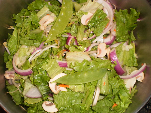 bearded-dragon-salad-mix-2