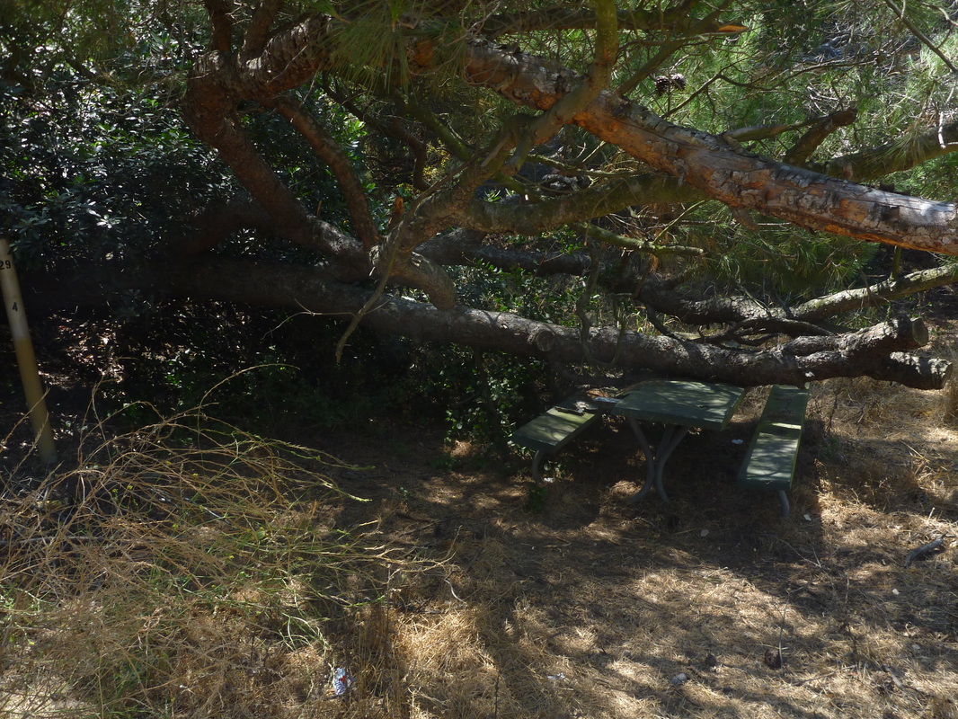 National Paranormal Association Legend of the Haunted Griffith Park