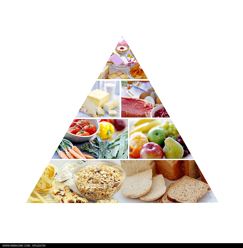 Sunlight supply fruit valley road, 6 categories of food pyramid, organic food definition webster