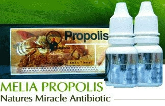 Propolis.jpg