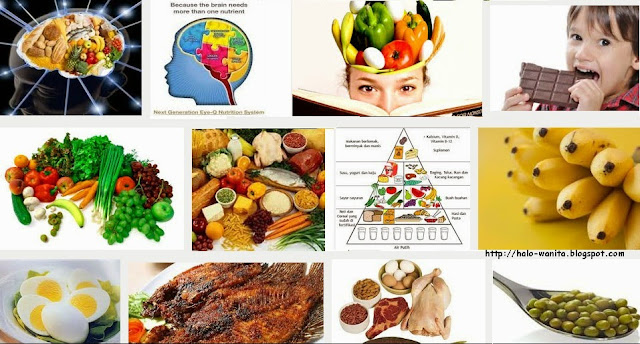 6 Jenis Makanan Untuk Nutrisi Otak 6 Jenis Makanan Untuk Nutrisi Otak