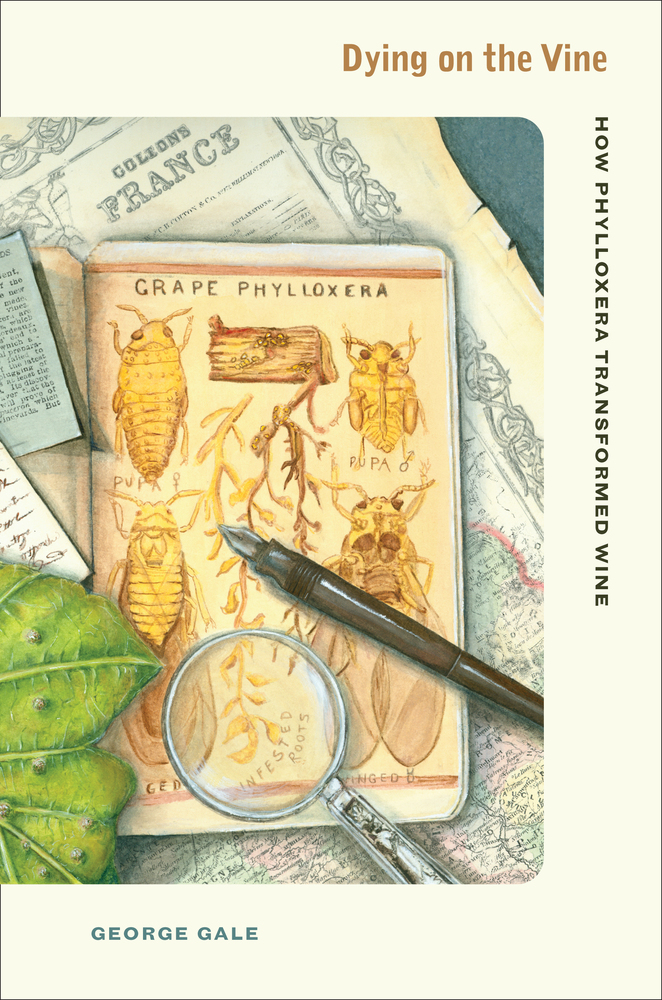 Book Review Dying on the Vine How Phylloxera Transformed Wine by