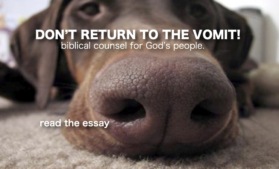 Don't Return to the Vomit! vassal of the King