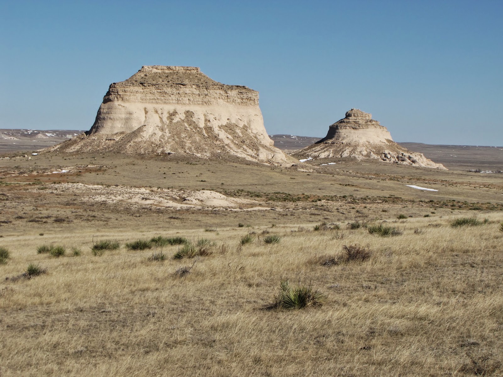 The Art Garden Design Trend 2013