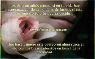 Un grito en el silencio de la noche Reflexiones de Vida,