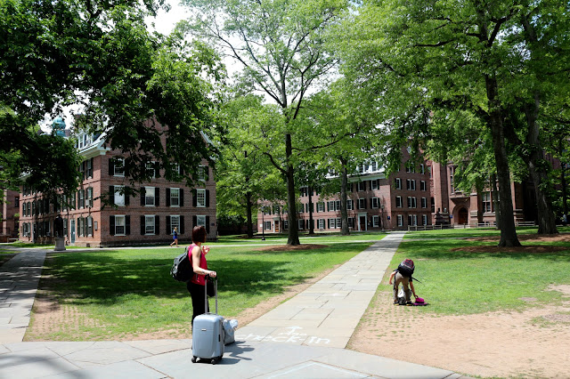 Поездки по восточному побережью с детьми. Подробные отчеты