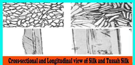 Microscopic view of Silk Silk Fibre