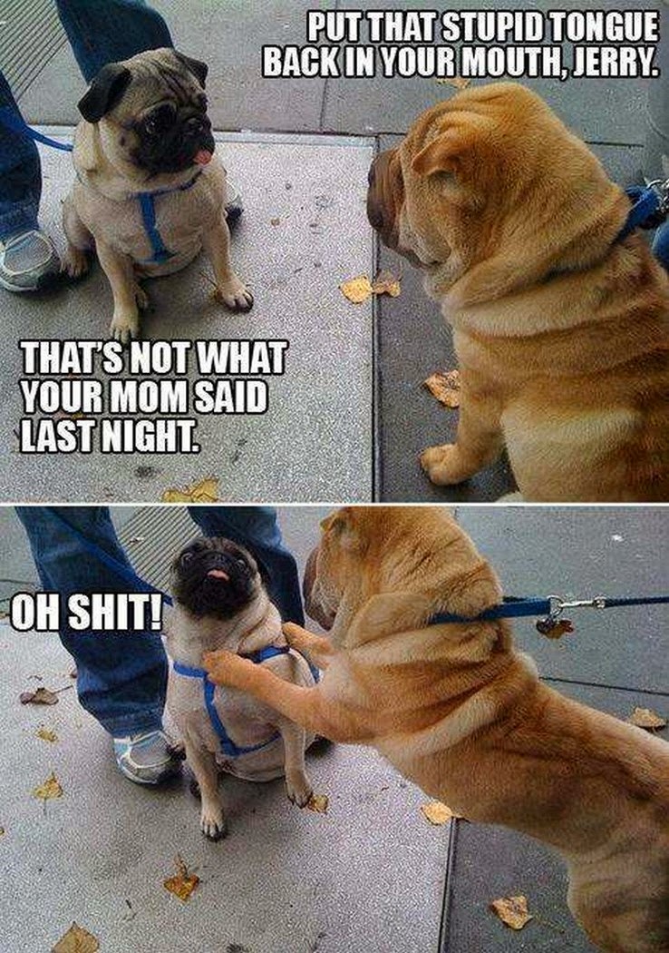 Chuck's Fun Page 2 Dogs get equal time