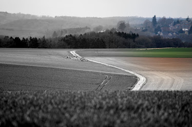 la photo du 2 avril 2011  (1039)