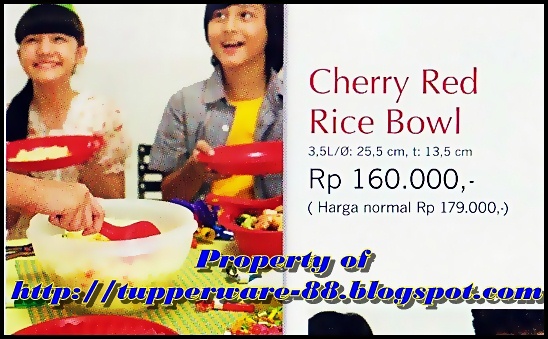 Tupperware-Cherry Red Rice Bowl