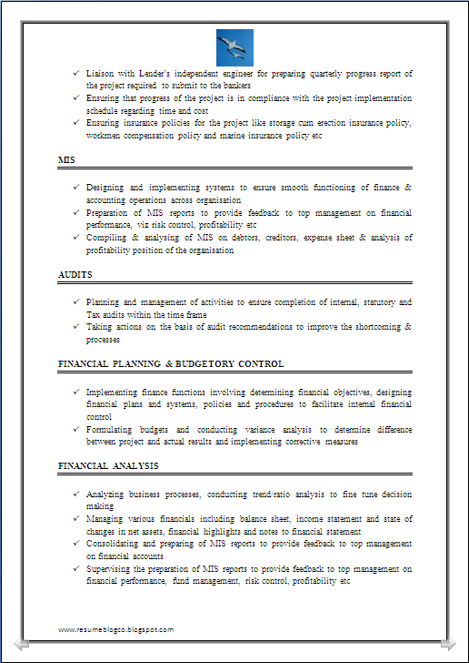 Resume format for chartered accountants