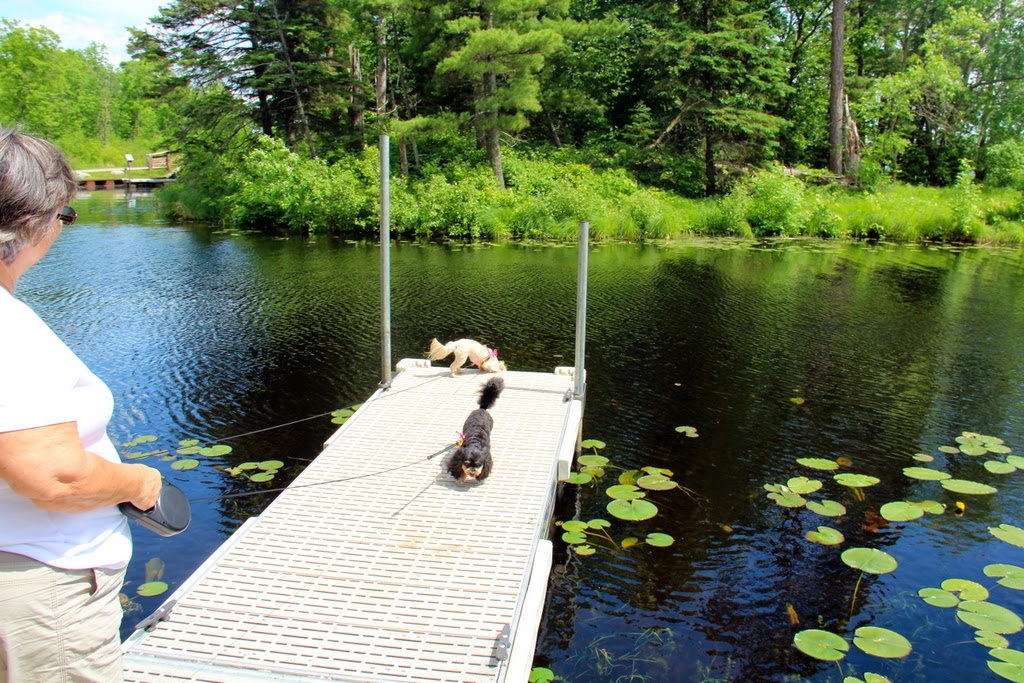 Moeller Travels Minnesota, Blackduck June 22 29