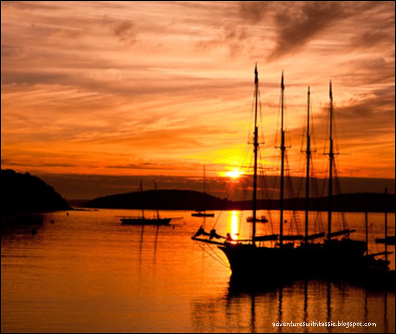 Tassie's Campground Reviews Mount Desert Narrows RV Park Bar Harbor