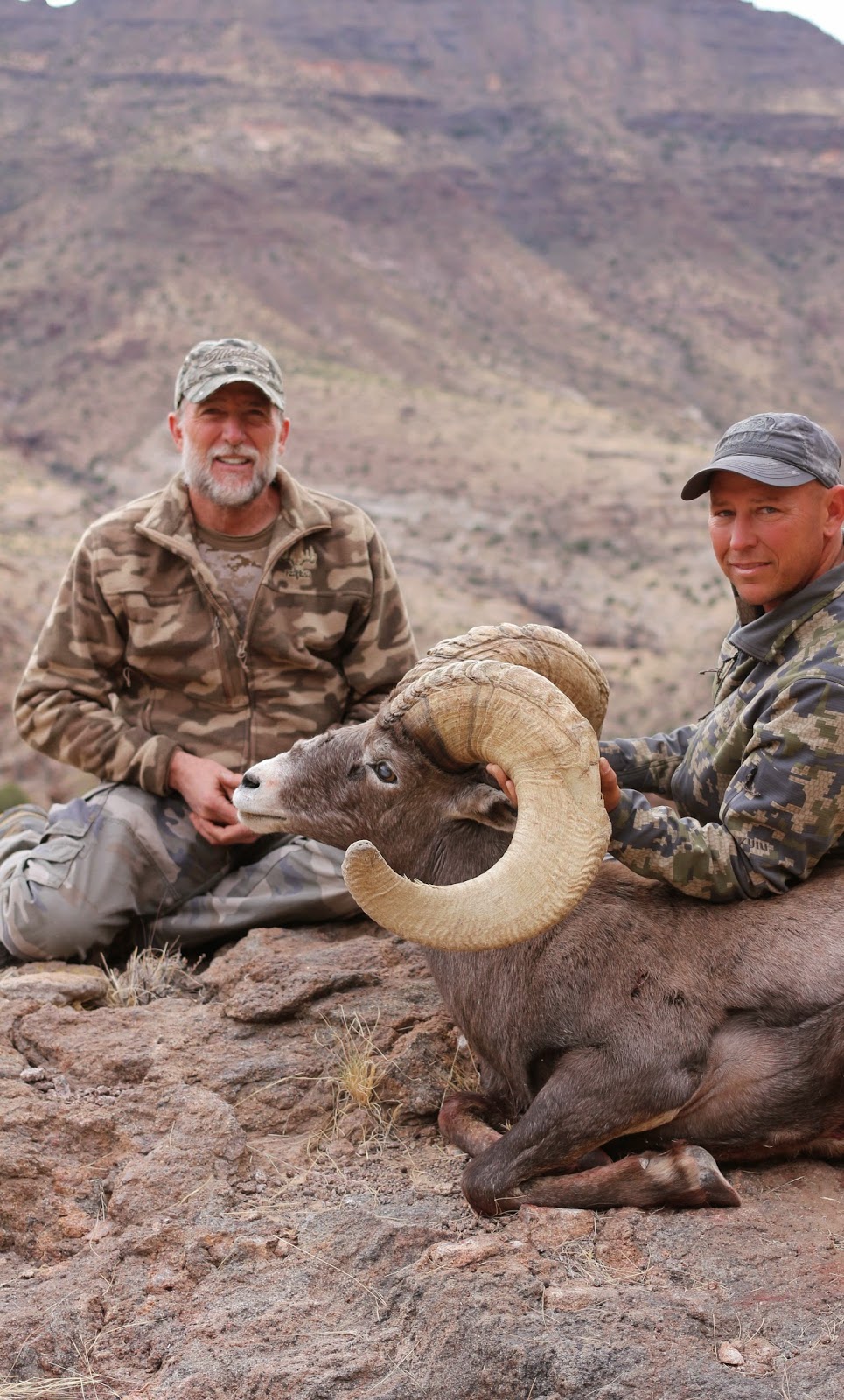 Desert%2BBighorn%2BSheep%2BHunting%2Bin%2BArizona%2Bwith%2BColburn%2Band%2BScott%2BOutfitters%2BBob%2BOconnor%2BRam%2B4.jpg
