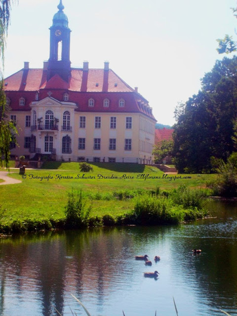 Schlosspark im Festspielort Reinhardtsgrimma Sachsen Fotografie Kerstin Schuster