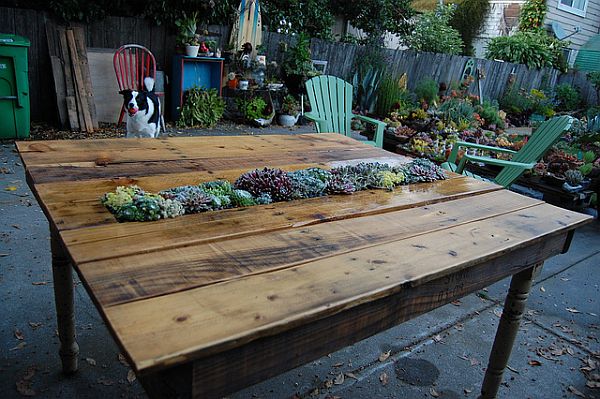 Hablando de elefantes rosas...: mÃs ideas diy para transformar ...